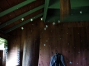 photo of glow in the dark stars